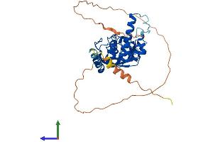 AlphaFold protein structure predicition of Human Recombinant ANKRD60 Protein, UniprotID Q9BZ19 (ANKRD60 Protein (AA 1-345) (His tag))