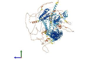 Protein Structure (PS) image for Bromodomain Adjacent To Zinc Finger Domain, 1B (BAZ1B) (AA 1-1483) protein (His tag) (ABIN7552573)