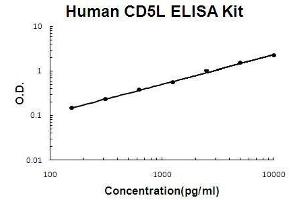 Human CD5L PicoKine ELISA Kit standard curve