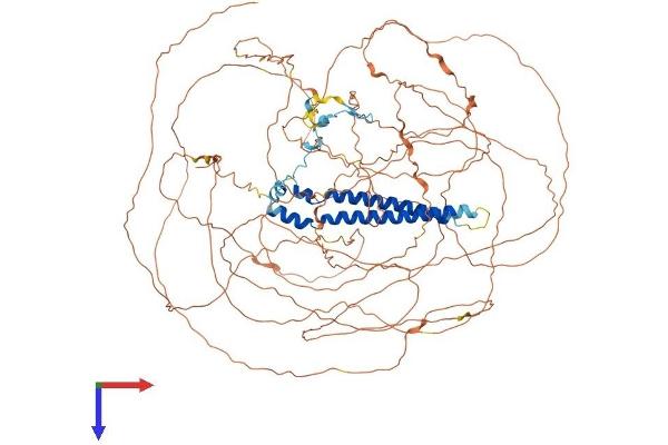 SAP130 Protein (AA 1-1057) (His tag)