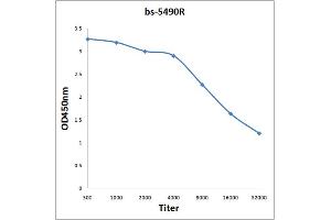 Antigen: 0. (MST1R antibody  (pTyr1238))