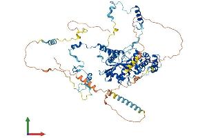 Protein Structure (PS) image for Guanine Nucleotide Binding Protein Like Protein 2 (GNL2) (AA 1-728) protein (His tag) (ABIN7560370)