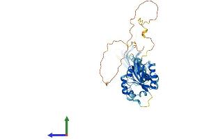 Protein Structure (PS) image for Single Immunoglobulin and Toll-Interleukin 1 Receptor (TIR) Domain (SIGIRR) (AA 1-409) protein (His tag) (ABIN7561688)