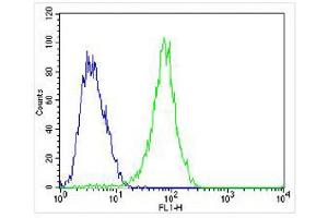 Overlay histogram showing MCF-7 cells stained with (ABIN6243203 and ABIN6577910) (green line). (FGF9 antibody)