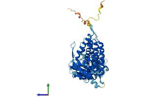 AlphaFold protein structure predicition of Mouse Recombinant Cct7 Protein, UniprotID P80313 (CCT7 Protein (AA 1-544) (His tag))