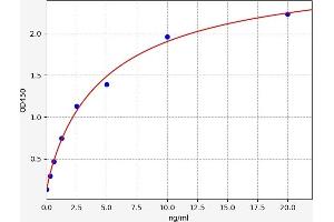Typical standard curve (TCF3 ELISA Kit)