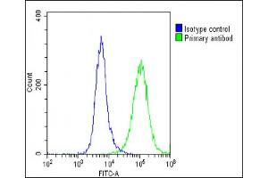 Overlay histogram showing U-87 MG cells stained with (ABIN6242124 and ABIN6578885)(green line). (Solute Carrier Family 17 (Vesicular Glutamate Transporter), Member 6 (SLC17A6) (AA 255-289) antibody)