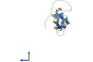 Protein Structure (PS) image for Serotonin Receptor 2B (HTR2B) (AA 1-479) protein (His tag) (ABIN7563580)