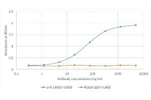 Binding curve of anti-Lag3 antibody C9B7W (ABIN7072564) to recombinant mouse Lag3 Fc-Fusion Protein.