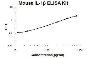 ELISA image for Interleukin 1, beta (IL1B) ELISA Kit (ABIN411294) (IL-1 beta ELISA Kit)