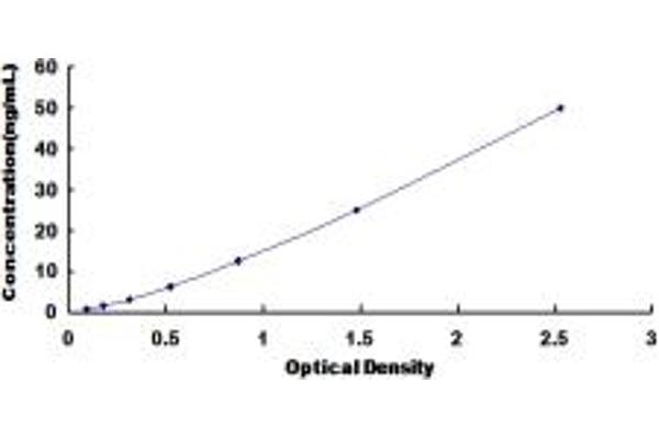 Glutathione Synthetase ELISA Kit