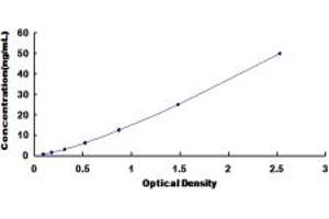 Typical standard curve (Glutathione Synthetase ELISA Kit)