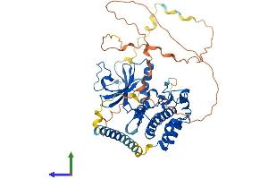 AlphaFold protein structure predicition of Human Recombinant PKMYT1 Protein, UniprotID Q99640