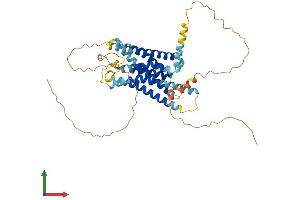 Protein Structure (PS) image for G Protein-Coupled Receptor 135 (GPR135) (AA 1-457) protein (His tag) (ABIN7558279)