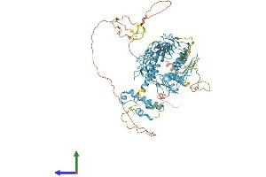 Protein Structure (PS) image for RB-Associated KRAB Zinc Finger (RBAK) (AA 1-711) protein (His tag) (ABIN7558814)