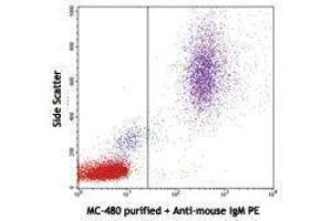 Flow Cytometry (FACS) image for anti-Fucosyltransferase 4 (Alpha (1,3) Fucosyltransferase, Myeloid-Specific) (FUT4) antibody (ABIN2660515) (CD15 antibody)