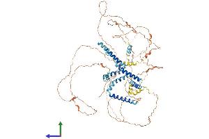 AlphaFold protein structure predicition of Mouse Recombinant Rtn1 Protein, UniprotID Q8K0T0 (Reticulon 1 Protein (RTN1) (AA 1-780) (His tag))