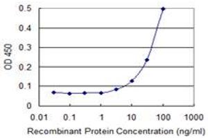 Detection limit for recombinant GST tagged PCDHGC5 is 0. (PCDHGC5 antibody  (AA 467-575))