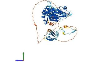 AlphaFold protein structure predicition of Mouse Recombinant Rbm46 Protein, UniprotID P86049 (RBM46 Protein (AA 1-533) (His tag))