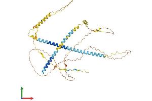 AlphaFold protein structure predicition of Mouse Recombinant Ivl Protein, UniprotID P48997 (Involucrin Protein (IVL) (AA 1-467) (His tag))