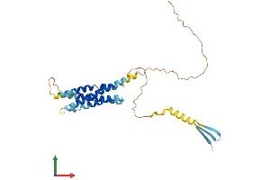 AlphaFold protein structure predicition of Human Recombinant MS4A10 Protein, UniprotID Q96PG2 (MS4A12 Protein (AA 1-267) (His tag))