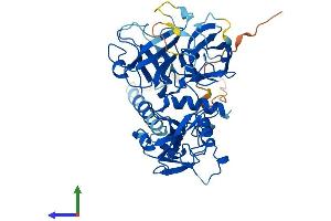 Protein Structure (PS) image for Transmembrane Protease, Serine 3 (TMPRSS3) (AA 1-454) protein (His tag) (ABIN7544658)