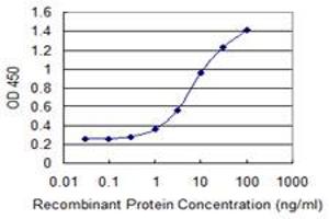 Detection limit for recombinant GST tagged MTCP1 is 0. (MTCP1 antibody  (AA 1-68))