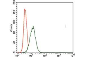 Immunohistochemical analysis of paraffin-embedded cervical cancer tissues using T antibody with DAB staining. (T Antigen (AA 257-309) antibody)