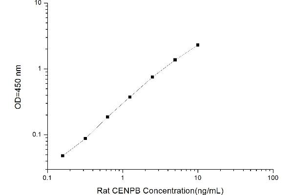 CENPB ELISA Kit