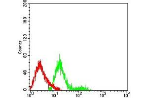 Flow cytometric analysis of HL-60 cells using CD222 mouse mAb (green) and negative control (red). (IGF2R antibody  (AA 160-311))