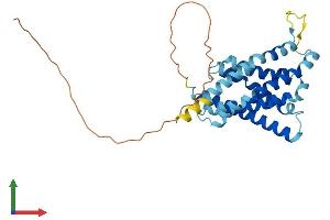 Protein Structure (PS) image for Protein Tyrosine Phosphatase-Like (Proline Instead of Catalytic Arginine), Member A (PTPLA) (AA 1-288) protein (His tag) (ABIN7554060)