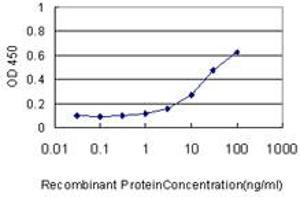 Detection limit for recombinant GST tagged CKS1B is approximately 3ng/ml as a capture antibody. (CKS1 antibody  (AA 1-79))