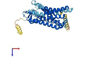 AlphaFold protein structure predicition of Human Recombinant OR2AK2 Protein, UniprotID Q8NG84 (OR2AK2 Protein (AA 1-335) (His tag))