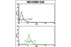 Flow cytometric analysis of NCI- cells using ELP2 Antibody (C-term)(bottom histogram) compared to a negative control cell (top histogram).