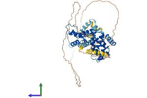 AlphaFold protein structure predicition of Mouse Recombinant Nr1h4 Protein, UniprotID Q60641