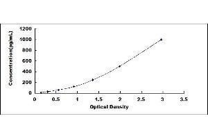 Typical standard curve (IL-31 ELISA Kit)