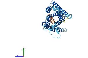 AlphaFold protein structure predicition of Human Recombinant MRGPRG Protein, UniprotID Q86SM5 (Mrgprg Protein (AA 1-289) (His tag))