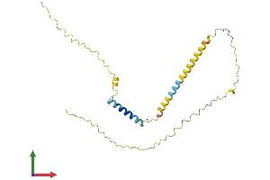 AlphaFold protein structure predicition of Human Recombinant FAM27D1 Protein, UniprotID Q5T7N8 (FAM27D1 Protein (AA 1-215) (His tag))