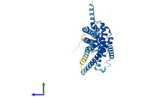 AlphaFold protein structure predicition of Mouse Recombinant P2ry14 Protein, UniprotID Q9ESG6