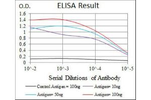ELISA image for anti-Recombination Activating Gene 1 (RAG1) (AA 818-868) antibody (ABIN1845755) (RAG1 antibody  (AA 818-868))
