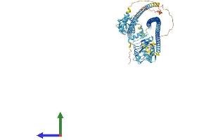 AlphaFold protein structure predicition of Human Recombinant LRSAM1 Protein, UniprotID Q6UWE0 (LRSAM1 Protein (AA 1-723) (His tag))