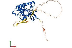 AlphaFold protein structure predicition of Mouse Recombinant Rasl12 Protein, UniprotID Q08AT1 (RASL12 Protein (AA 1-266) (His tag))