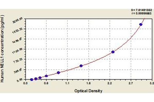 NELL1 ELISA Kit