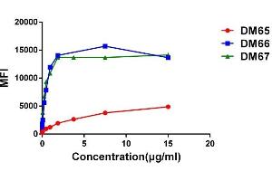Affinity ranking of different Rabbit anti-4-1BB mAb clones by titration of different concentration onto Expi 293 cell line transfected with human 4-1BB. (CD137 antibody  (AA 24-186))