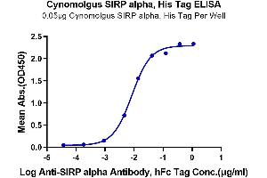 Immobilized Cynomolgus SIRP alpha, His Tag at 0. (SIRPA Protein (AA 31-370) (His tag))