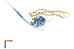 AlphaFold protein structure predicition of Human Recombinant GLDN Protein, UniprotID Q6ZMI3 (GLDN Protein (AA 1-551) (His tag))