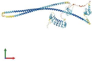 AlphaFold protein structure predicition of Human Recombinant LRSAM1 Protein, UniprotID Q6UWE0 (LRSAM1 Protein (AA 1-723) (His tag))
