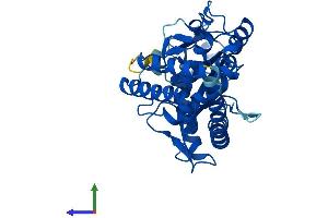 AlphaFold protein structure predicition of Human Recombinant MAB21L1 Protein, UniprotID Q13394