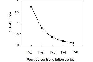 HT29 cells were treated with Calyculin A. (IRF3 ELISA Kit)
