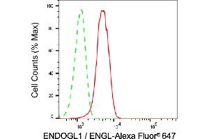 Flow cytometric analysis of Exo/Endonuclease G expression in HepG2 cells using Exo/Endonuclease G antibody (ABIN7798438), 1:2,000).